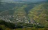 View of vineyards in Dernauer