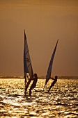 Two windsurfers surfing in sea at sunset