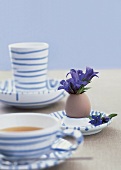 Blau gestreifte Frühstückskeramik, Tasse mit Tee, Blumenstrauss im Ei