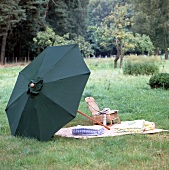 Small wicker garden chair and pillow under green umbrella on meadow