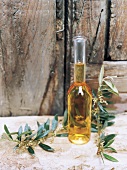 Still: Flasche mit Olivenöl, darum herum Olivenzweige