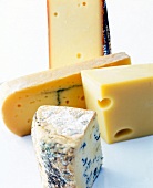 Close-up of different types of cheese