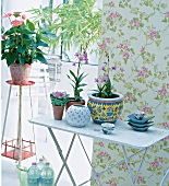 Four flower vases on table in front of orchid motif wallpaper