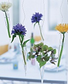 Deko-Idee: Blume in Reagenzgläsern a m Draht aufgehängt, Hortensie, etc.
