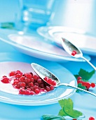 Rote Johannisbeeren mit aufgeschlage ner Joghurtsülze, Dessert Nachtisch