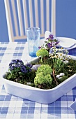 blühendes Pflanzen-Arrangement als frische Tischdekoration, Tisch-Wiese