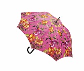bunter Regenschirm mit Blumen-Motiv, Freisteller