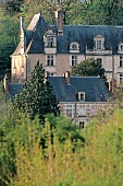 Loire Schloss , Château de Noizay , Restaurant , Hotel