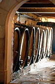 Wine cellar, France, Alsace