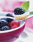 Close-up of mini tartlets with vanilla cream and blackberry on spoon