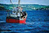 Typisches Lachsfischerboot in Irland 