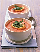 Tomatensuppe mit Kräuter- Croûtons 