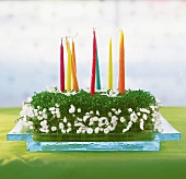 Bunte schmale Kerzen in einem Kressebett auf eckigem Glasteller