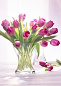 Bouquet of purple tulips in glass vase