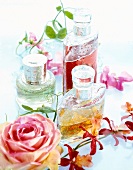 Three different perfume bottles, rose and flowers on white background