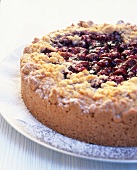 Close-up of cherry crumble pie