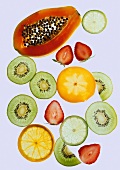 Fruchtscheiben: Kiwi, Zitrone,Orange Erdbeere,Papaya,durchscheinend