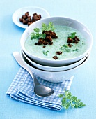 Chervil soup wish pumpernickel croutons in white bowl with a spoon