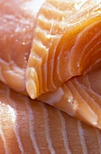 Close-up of raw salmon
