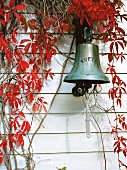 Bell hanging in front of wooden house covered with red vine leaves