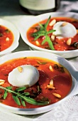 Tomatensugo mit Büffelmozzarella 