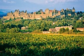 Festung liegt mitten in einer grünen Landschaft in Frankreich