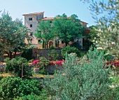 View of mansion Son Bleda surrounded by olive trees in Mallorca, Spain