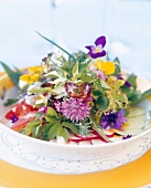 Close-up of salad with colourful herb on plate