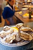 Fresh oysters on plate