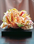 Radicchio, heller Variegato di Castelfranco