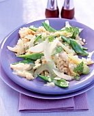 Fenchel-Risotto, vegetarisch, auf lila Teller