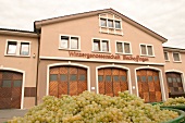 WG Bischoffingen Winzergenossenschaft Weingut mit Hotel und Restaurant in Vogtsburg Baden-Württemberg