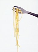 Close-up of noodles on spaghetti fork on white background