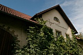 Hammerschmiede Wein- und Sektgut Weingut mit Besenwirtschaft in Ubstadt-Weiher Ubstadt Weiher