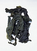 Kombu breton variety of dried seaweed on white background
