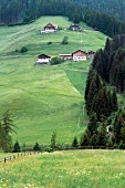 Alpenlandschaft, Sarntal, Hang Bauernhöfe, Bauernhäuser, Südtirol