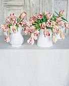 Red and white parrot tulips in jugs