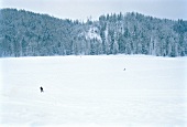 View of ski area during winter in Salzburg, Austria