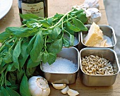 Frische Zutaten für Pesto, Basilikum , Knoblauch, Salz, Parmesan, Kerne