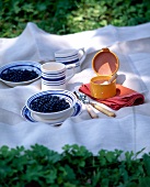 Blau-weiß gestreiftes Geschirr auf weißer Decke im Gras