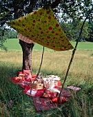 Picnic set up in garden with cushions, blanket and baskets with food