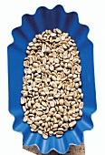Close-up of raw coffee beans in blue bowl, overhead view