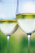 Close-up of wine glassed with white wine
