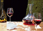 Rotwein, Château-du-Pape, Glas + Karaffe, in der Natur, Still