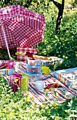 Picnic set up in garden with umbrella, picnic blanket, storage boxes and pillows