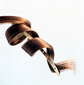 Close-up of long brown hair curled up on hair clip