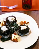 Sea urchins with champagne sauce