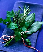 Close-up of bunch of herbs