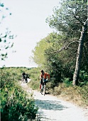 Cyclists cycling on lonely path at Mallorca, Spain