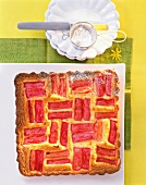 Rhubarb and almond cake garnished with icing sugar